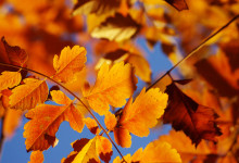 4 Ways to Amp Up Your Blog This Autumn